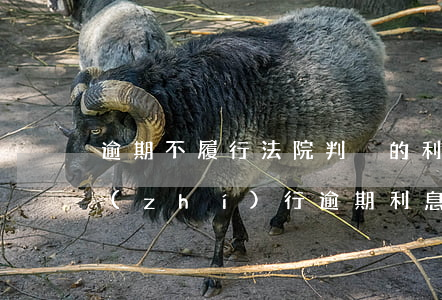 逾期不履行法院判決的利息(法院判決拒不執(zhí)行逾期利息)