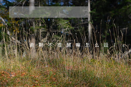 逾期不提醒嘛(怎么設(shè)置逾期提醒)