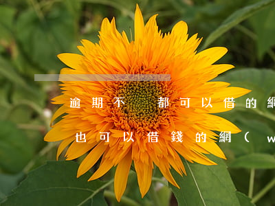逾期不換都可以借的網(wǎng)貸(逾期也可以借錢的網(wǎng)貸)