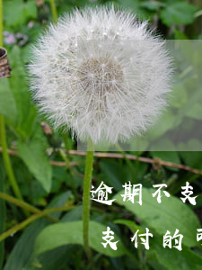 逾期不支付的可以不支付賠償金嗎-逾期不支付的可以不支付賠償金嗎