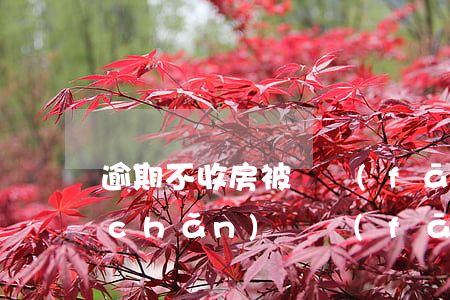 逾期不收房被開發(fā)商起訴(房地產(chǎn)開發(fā)商遲遲不交房可以起訴嗎)