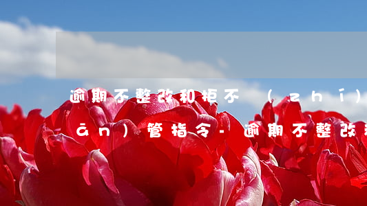 逾期不整改和拒不執(zhí)行監(jiān)管指令-逾期不整改和拒不執(zhí)行監(jiān)管指令哪個嚴重