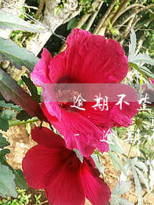 逾期不整改的企事業(yè)單位怎么處罰-逾期不整改的處理