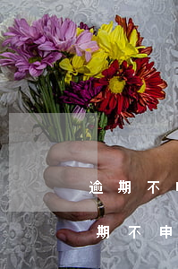 逾期不申請人民法院強制執(zhí)行(逾期不申請人民法院強制執(zhí)行)