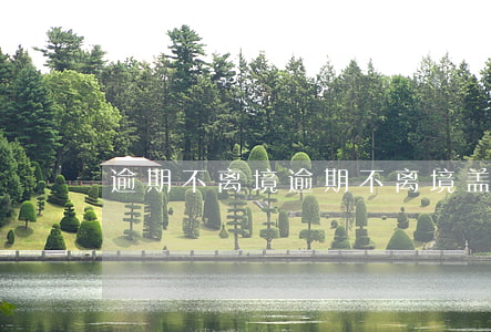 逾期不离境 逾期不离境盖章