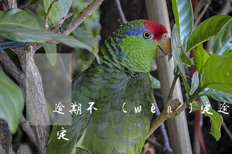 逾期不穩(wěn)定(逾期不穩(wěn)定)
