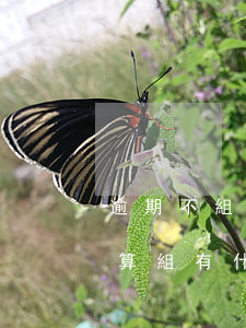 逾期不組成清算組(公司解散后,逾期不成立清算組,有什么責(zé)任?)