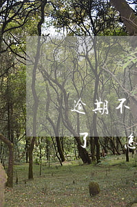 逾期不給協(xié)商發(fā)律師函了該怎么辦-逾期不給協(xié)商發(fā)律師函了該怎么辦呢