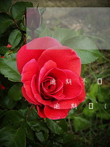 逾期不給錢起訴(法院判決后對(duì)方逾期沒(méi)給錢怎么辦)
