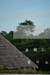 逾期不續(xù)簽勞動(dòng)合同有什么后果(員工逾期不續(xù)簽勞動(dòng)合同)