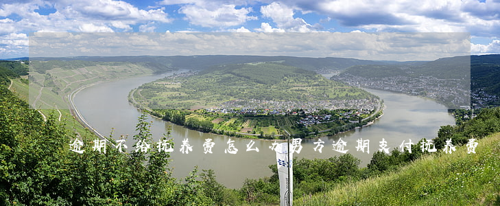 逾期不给抚养费怎么办(男方逾期支付抚养费)