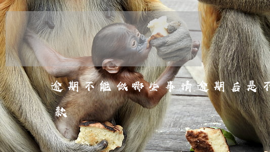 逾期不能做哪些事情(逾期后是不是不能再貸款)