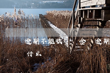 逾期不能收滯納金嗎 逾期不能收滯納金嗎為什么