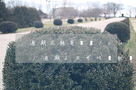 逾期不能有連續(xù)2個1(連續(xù)逾期2次可以貸款嗎)