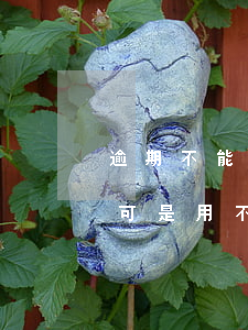 逾期不能用花唄怎么辦(為什么花唄沒有逾期,可是用不了了)