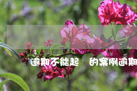 逾期不能起訴的案例(逾期不能起訴的案例)