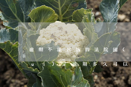 逾期不能起訴的法院(國(guó)家規(guī)定逾期多久可以法院起訴)