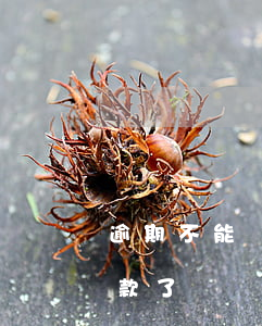 逾期不能進行貸款怎么辦(逾期是不是不能貸款了)