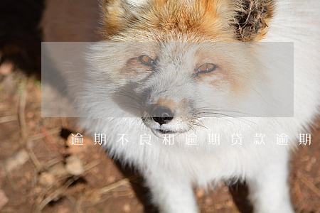 逾期不良和逾期贷款(逾期 贷款)