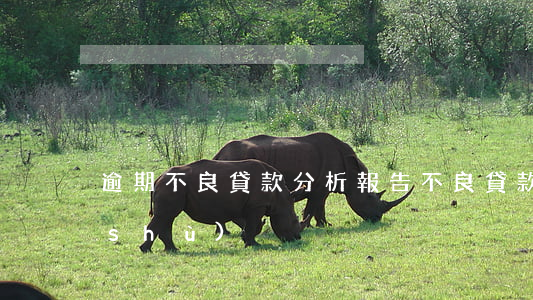 逾期不良貸款分析報告(不良貸款逾期天數(shù))