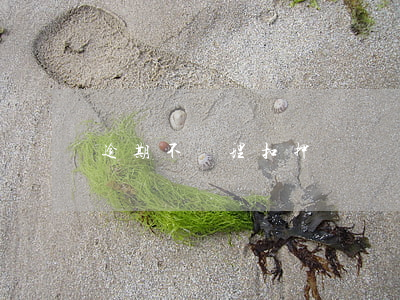 逾期不處理扣押車輛