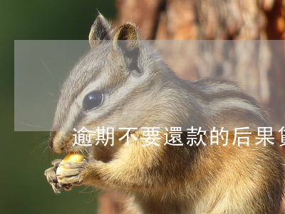 逾期不要還款的后果(貸款逾期不還的后果)