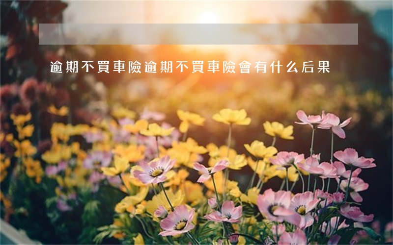 逾期不買車險(逾期不買車險會有什么后果)