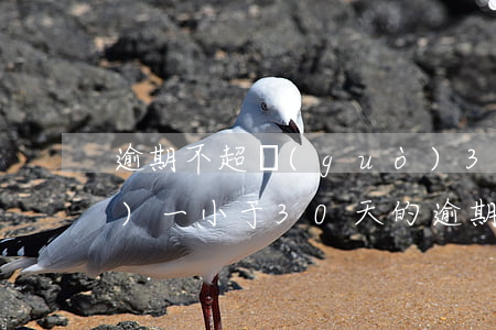 逾期不超過(guò)30天算一個(gè)一(小于30天的逾期)