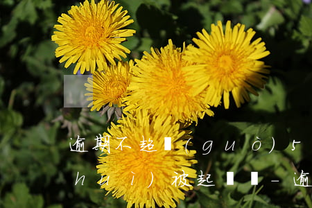 逾期不超過(guò)5萬(wàn)會(huì)被起訴嗎-逾期5萬(wàn)以上
