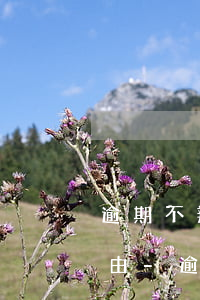 逾期不辦理死者喪葬的正當(dāng)理由-逾期不予辦理