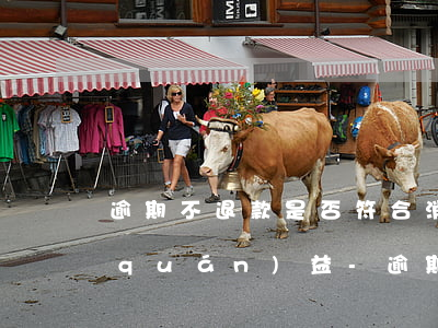 逾期不退款是否符合消費(fèi)者權(quán)益-逾期不退款是否符合消費(fèi)者權(quán)益保護(hù)