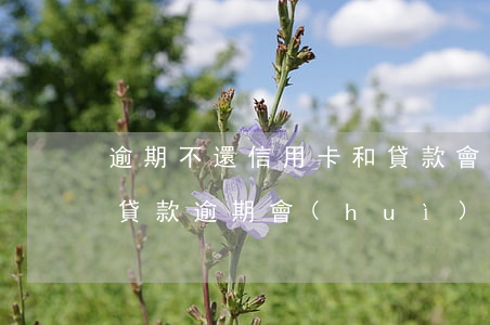 逾期不還信用卡和貸款會(huì)被抓嗎 貸款逾期會(huì)影響信用卡嗎