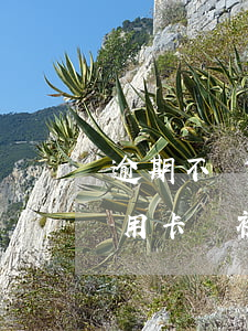 逾期不還信用卡會被銀行起訴嗎(逾期不還信用卡會被銀行起訴嗎知乎)