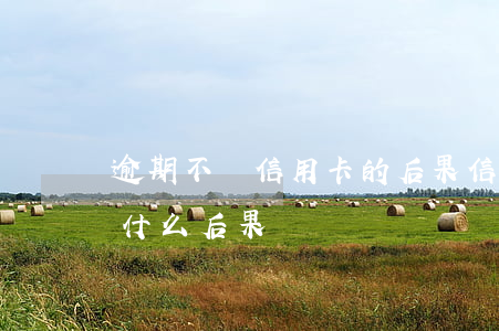 逾期不還信用卡的后果(信用卡還款逾期會有什么后果)