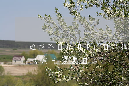 逾期不還信用卡的圖片(征信報(bào)告信用卡逾期圖片)