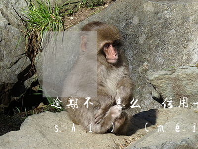 逾期不還怎么辦信用卡 欠信用卡逾期確實(shí)沒(méi)能力還怎么辦