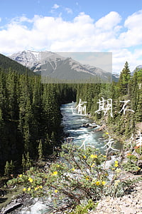 逾期不還所有費用包括律師費(貸款逾期可以不交律師費)