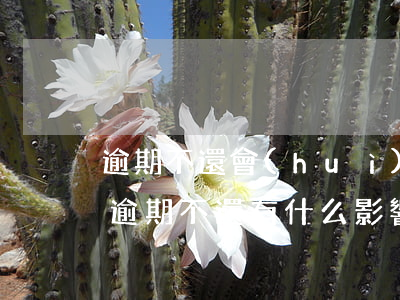 逾期不還會(huì)不會(huì)坐牢（逾期不還有什么影響）