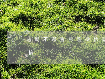 逾期不還會影響微信(微信逾期會不會影響征信)