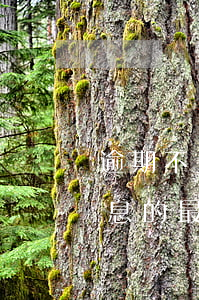 逾期不還款利息規(guī)定(逾期付款利息的最新規(guī)定)