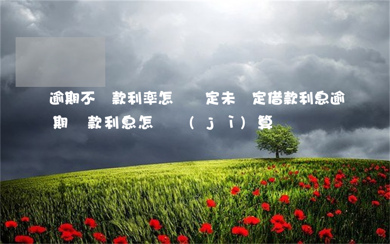 逾期不還款利率怎樣約定(未約定借款利息,逾期還款,利息怎樣計(jì)算)