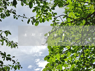 逾期不還款執(zhí)行申請人