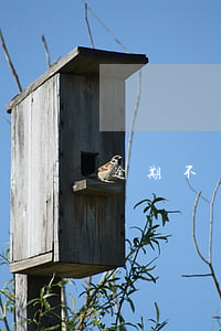 逾期不還款怎么告他(如何進行逾期還款)
