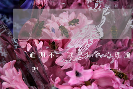 逾期不還款是什么心理(逾期不還款是什么心理)