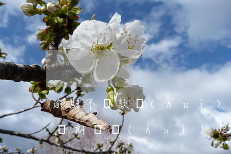 逾期不還款會(huì)追查贓款嗎(已過追訴期還會(huì)追繳贓款嗎)