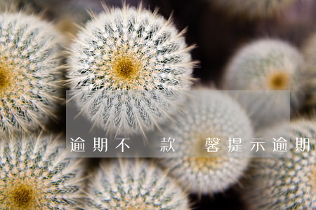 逾期不還款溫馨提示(逾期提示付款)
