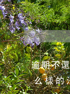 逾期不還款的法律后果(貸款逾期不還造成什么樣的法律責(zé)任)