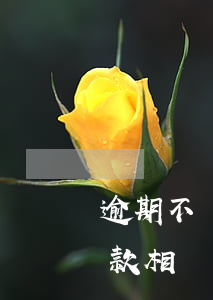 逾期不還款相關(guān)法律(逾期不還款相關(guān)法律)