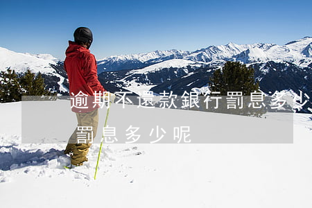 逾期不還款銀行罰息多少-逾期不還款銀行罰息多少呢