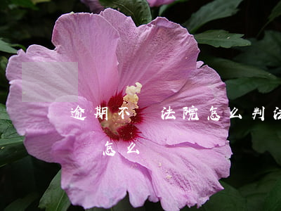 逾期不還法院怎么判(法院判決欠錢不還逾期會怎么樣)